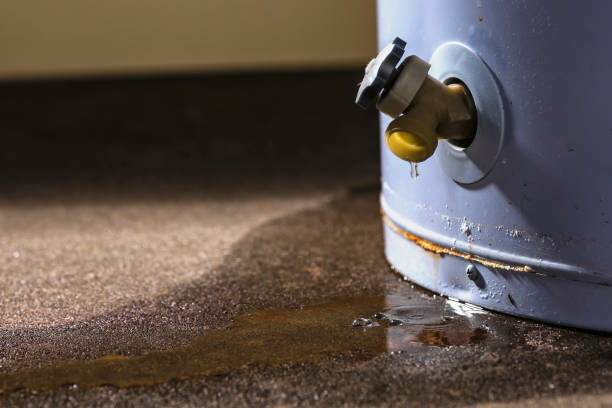 Best Water damage restoration insurance claims  in Bodega Bay, CA