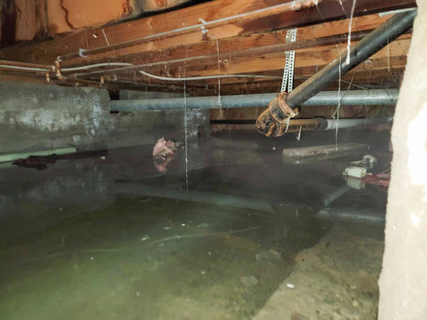 Best Fire Damage Restoration  in Bodega Bay, CA