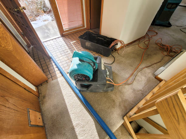 Best Water damage restoration experts  in Bodega Bay, CA