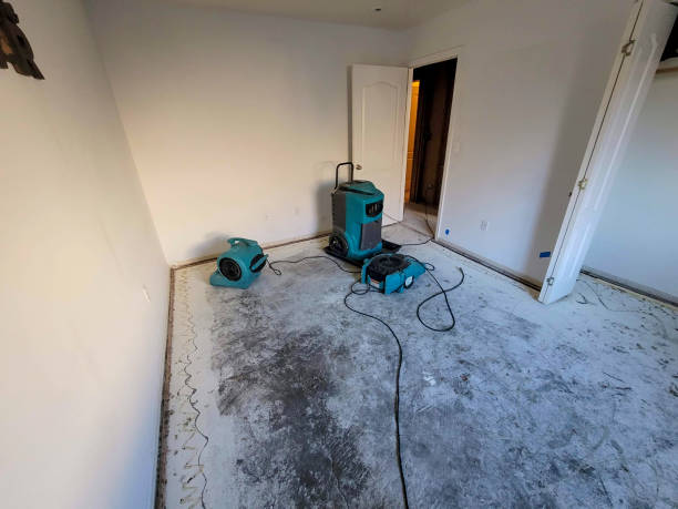 Best 24-hour water damage restoration  in Bodega Bay, CA