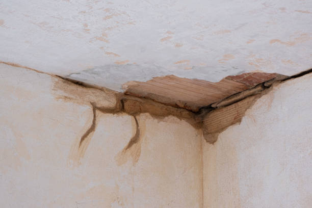 Best Basement water damage restoration  in Bodega Bay, CA