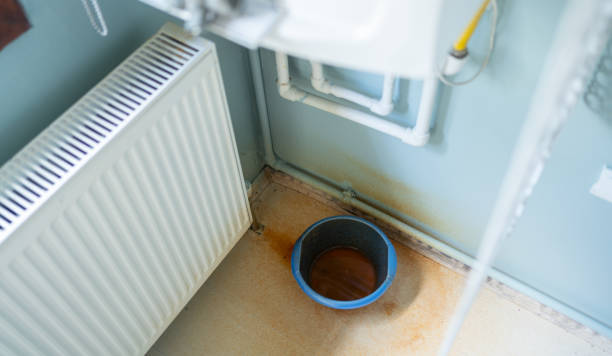 Best Ceiling water damage repair  in Bodega Bay, CA